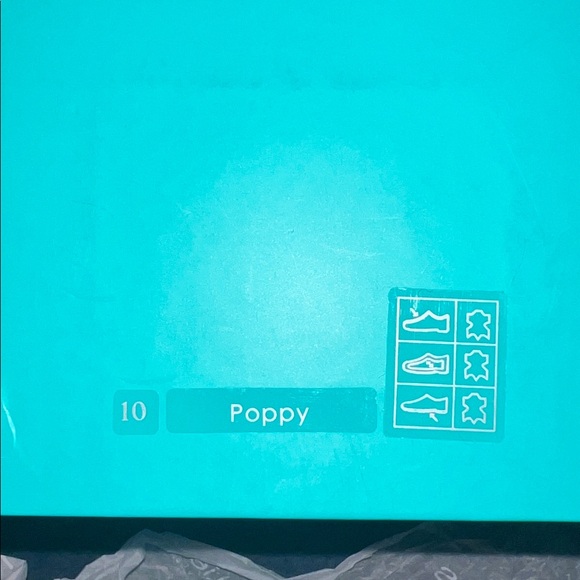 Tieks Poppy never worn  nib  size 10 - Picture 6 of 6